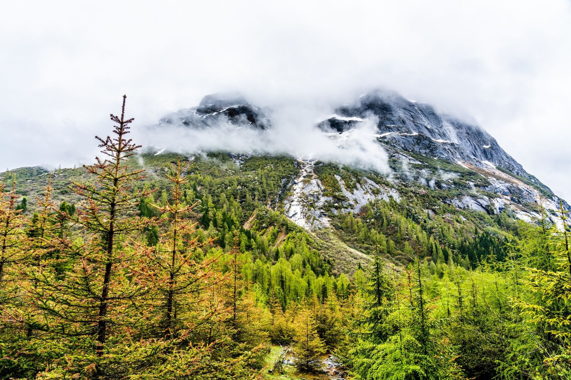 Shuangqiaogou gorge of Siguniang mountain in Aba Tibetan and Qiang Autonomous Prefecture, Sichuan, China